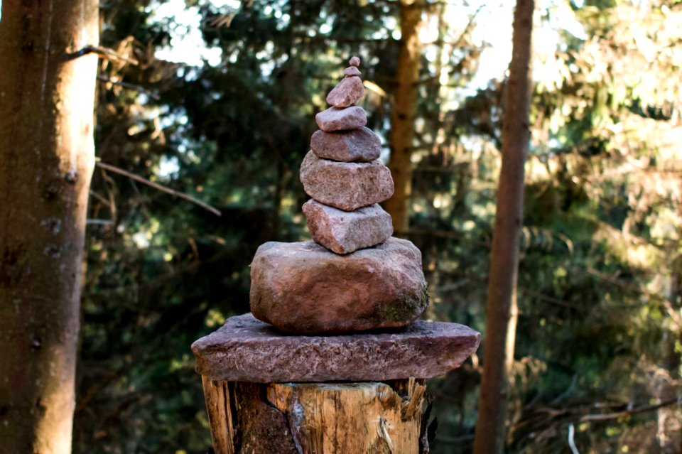 Tree Temple Wood Outdoor Structure