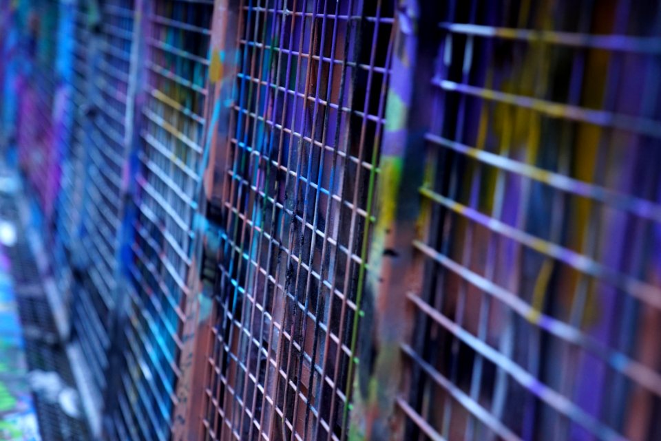 Blue Cage Purple Net