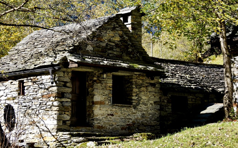House Cottage Tree Home