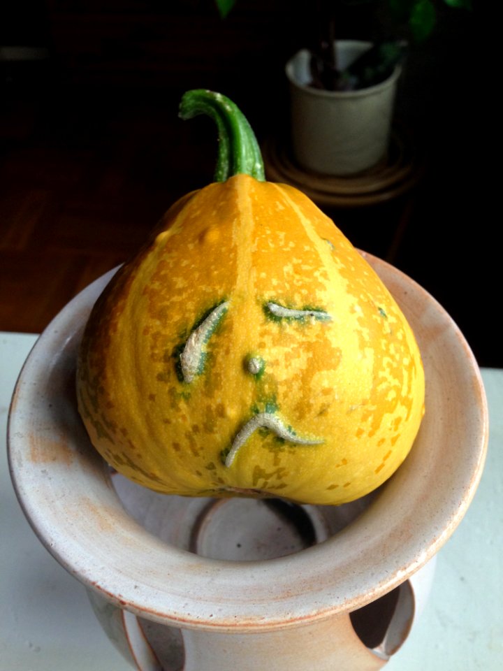 Cucurbita Winter Squash Gourd Vegetable