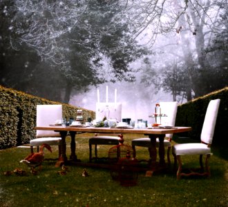 Table Tree Furniture Home