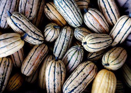 Wood Commodity