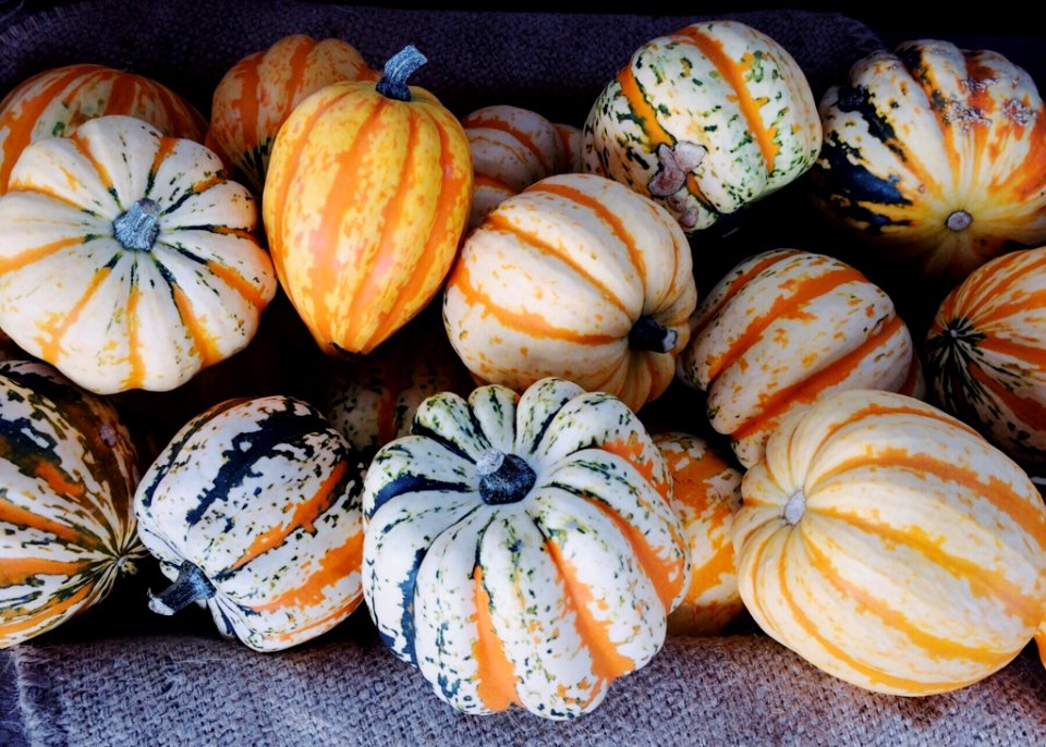 Winter Squash Cucurbita Vegetable Gourd