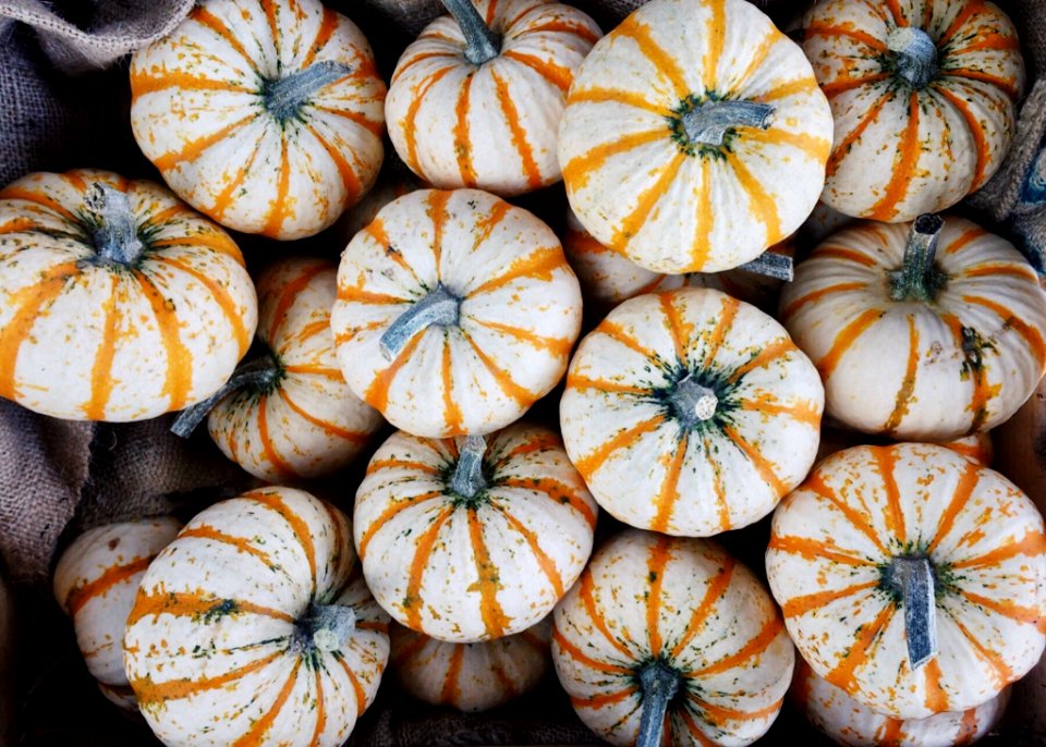 Winter Squash Cucurbita Gourd Vegetable