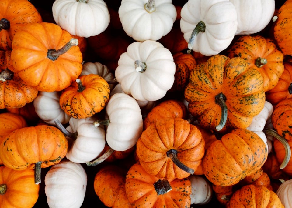 Vegetable Winter Squash Cucurbita Pumpkin