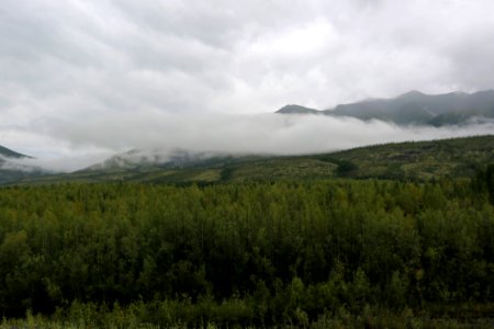 Highland Wilderness Ecosystem Cloud