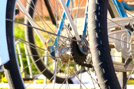 Land Vehicle Bicycle Wheel Bicycle Spoke photo