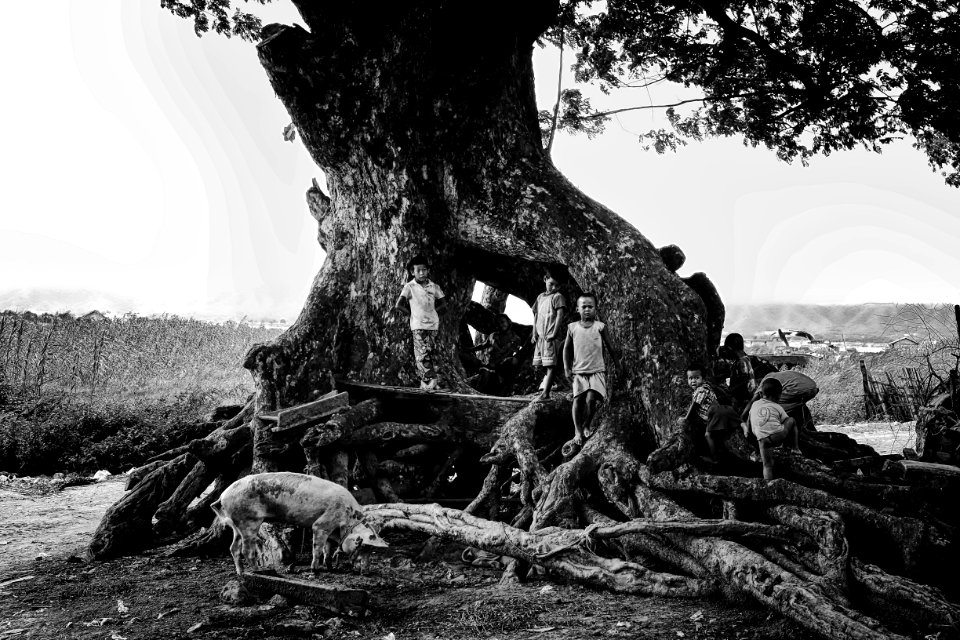 Grayscale Photography Of Children Stands Near Tree