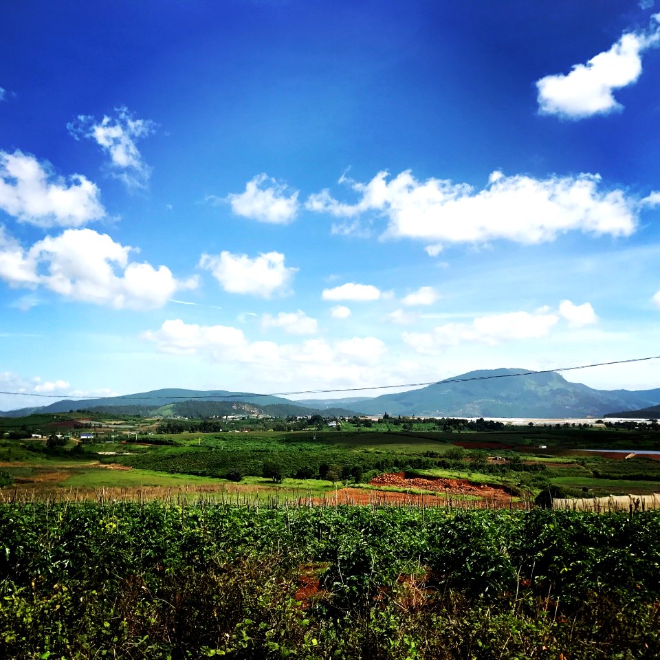 Grass Field Under Blue Sky