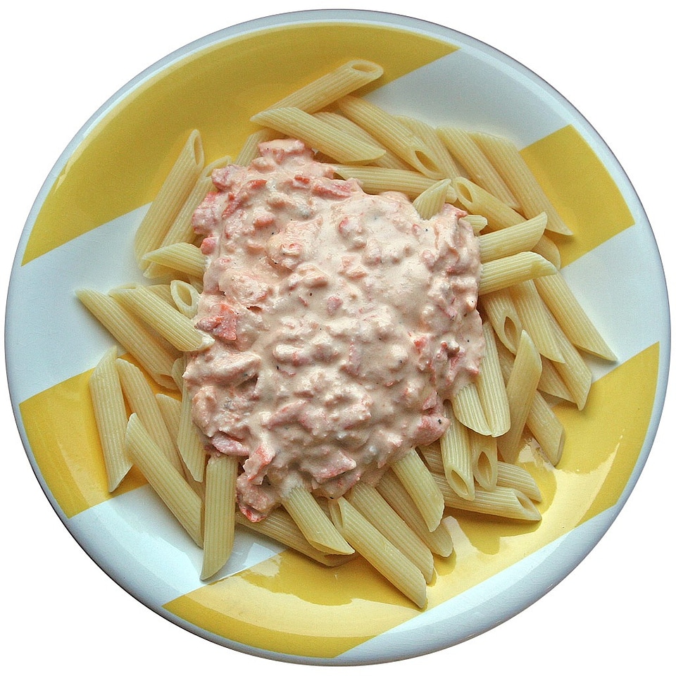 Rigatoni salmon sauce italian
