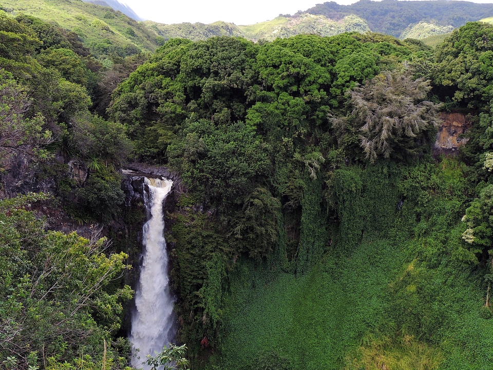 Green island nature