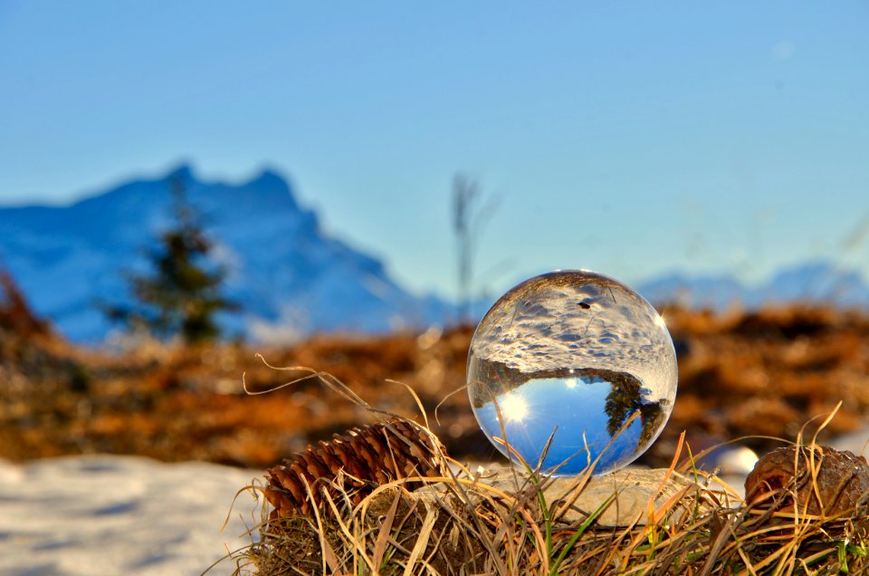 Glass Ball On Brown Nest