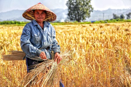 Woman Picking Plant On Field
