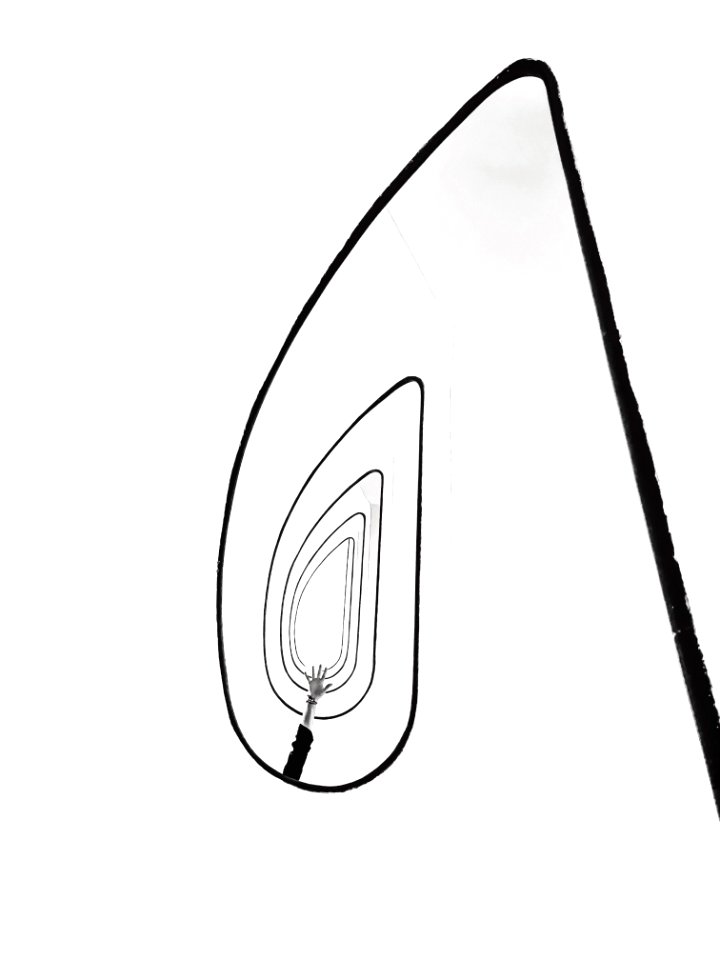 Persons Hand