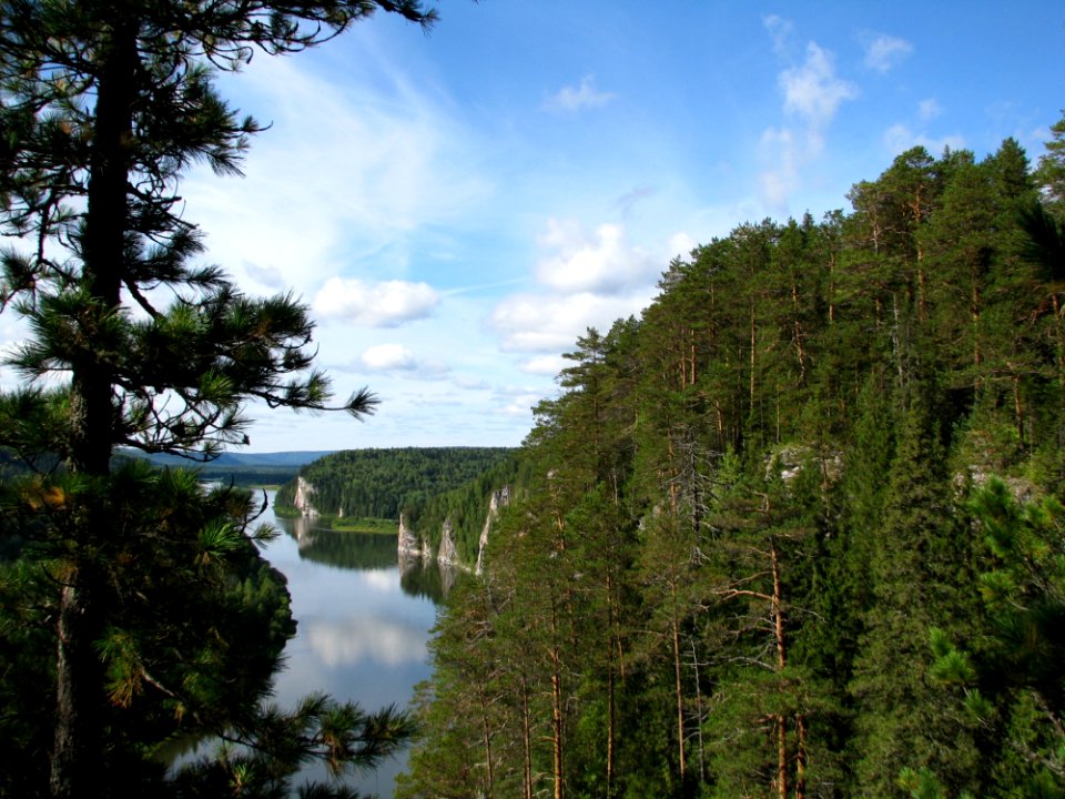 Nature Wilderness Ecosystem Water