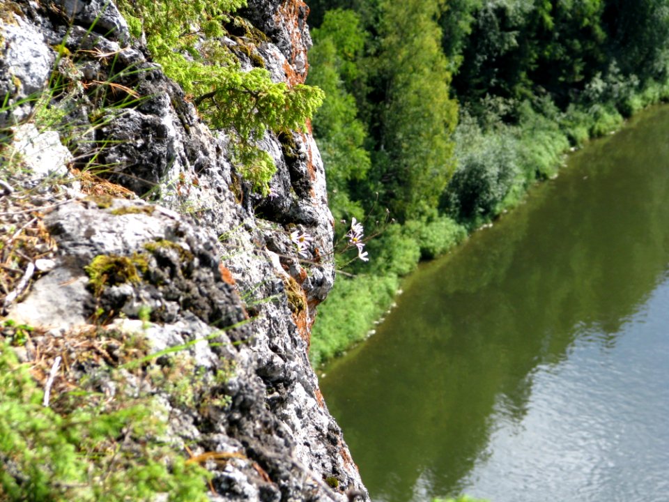 Nature Reserve Water Water Resources Watercourse