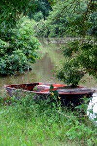 Water Nature Waterway Reflection photo