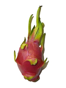 Fruit sweet exotic