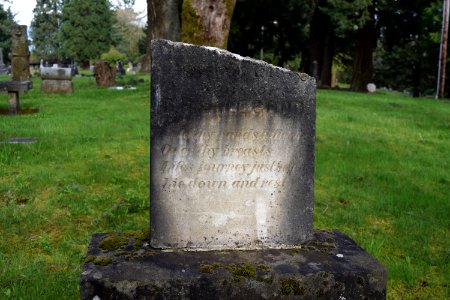 Grave Headstone Cemetery Grass