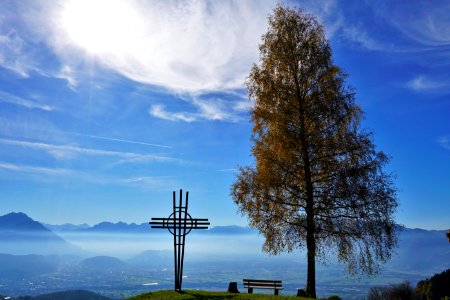 Sky Nature Cloud Tree