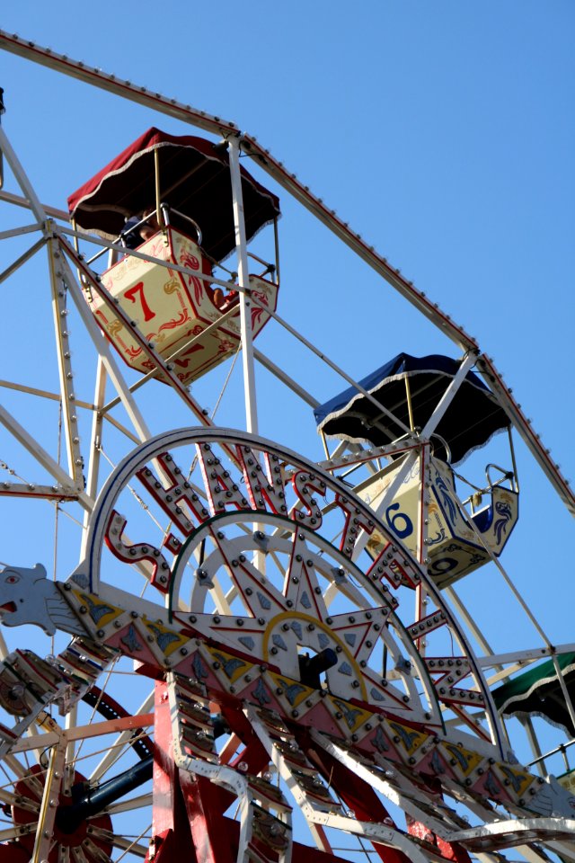 Ferris Wheel Amusement Park Tourist Attraction Amusement Ride