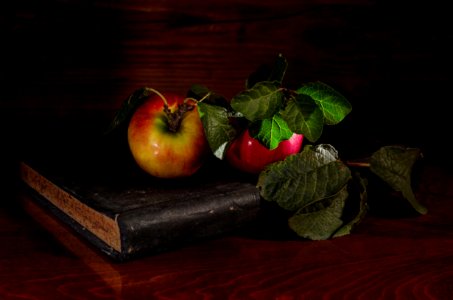 Still Life Still Life Photography Fruit Painting