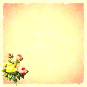 Yellow Flower Picture Frame Flora