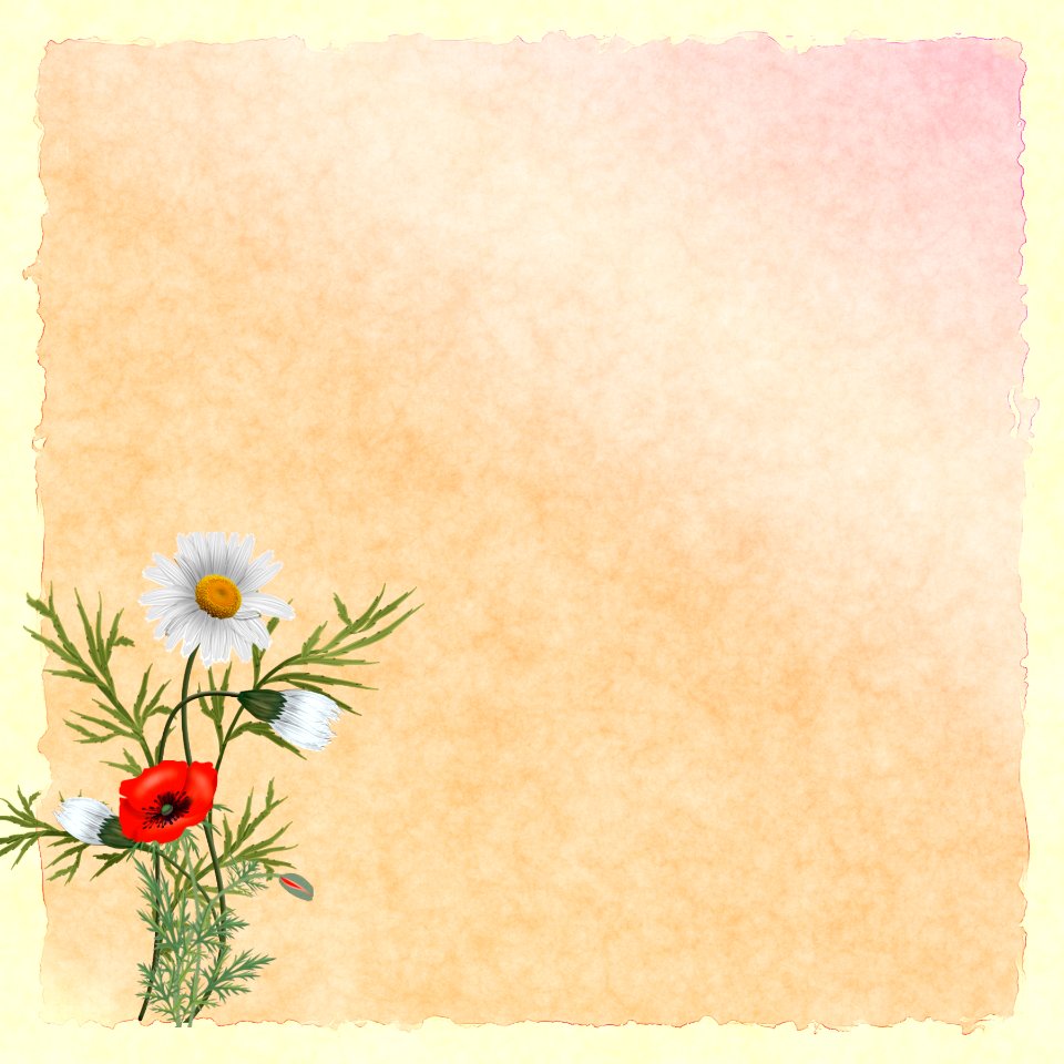 Flower Flora Flowering Plant Picture Frame