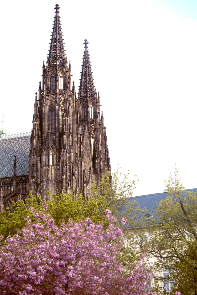 Historic Site Spire Medieval Architecture Flower