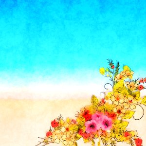 Flower Sky Flowering Plant Flora