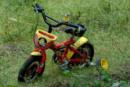 Yellow Motor Vehicle Off Roading Grass