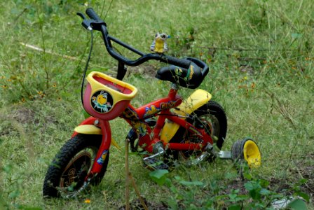 Yellow Motor Vehicle Off Roading Grass photo