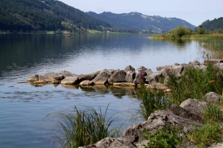 Water Body Of Water Lake Bank