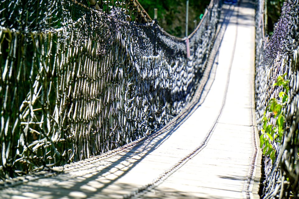 Path Tree Inca Rope Bridge Suspension Bridge
