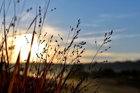 Sky Water Morning Atmosphere photo