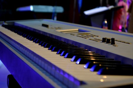Musical Instrument Keyboard Piano Musical Keyboard