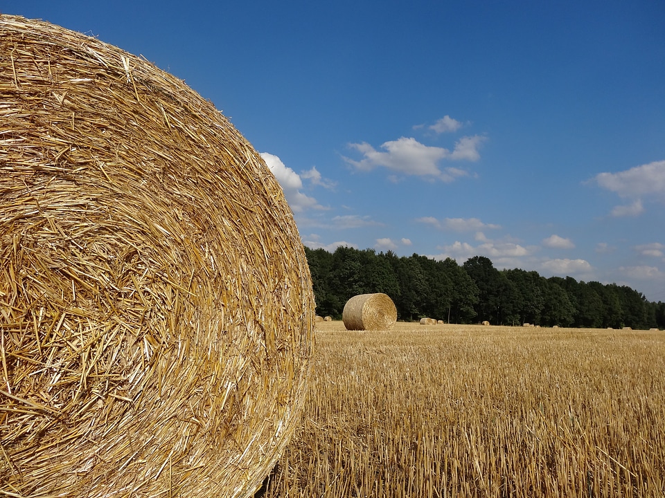 Landscape harvest agriculture