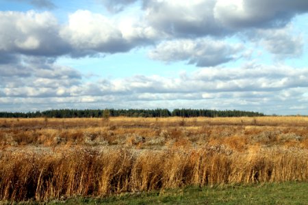 Grassland Ecosystem Sky Prairie