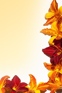 Stationery background greeting card