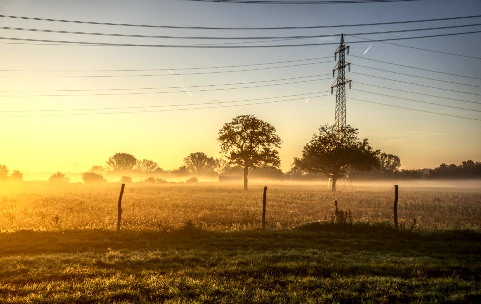 Morning Field Sky Tree