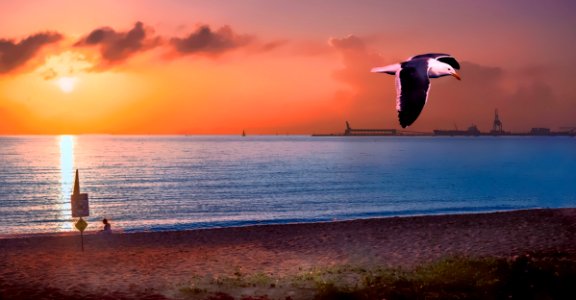 Sea Sky Sunrise Horizon