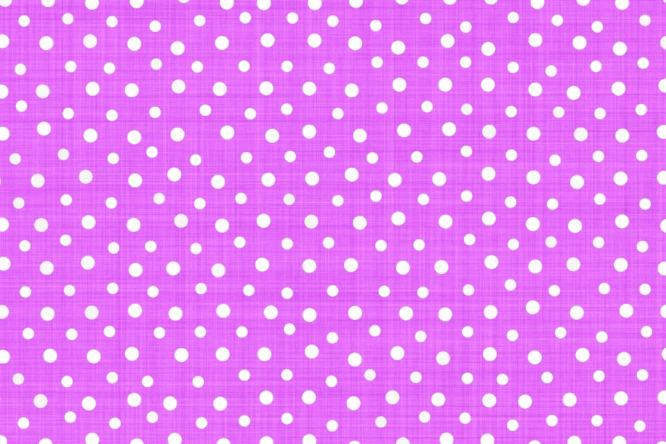 Pink Purple Violet Text photo