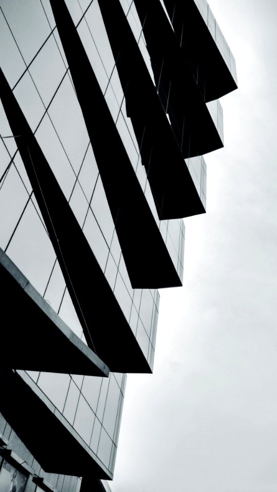 Curtain Wall Building