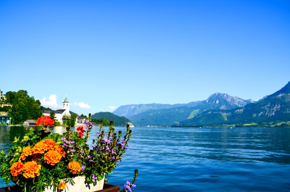 Orange And Red Flowers In Front Of Body Of Water
