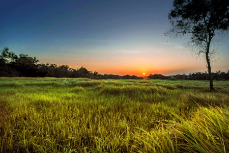 Landscape Photography Of Green Grass Field During Golden Hour photo