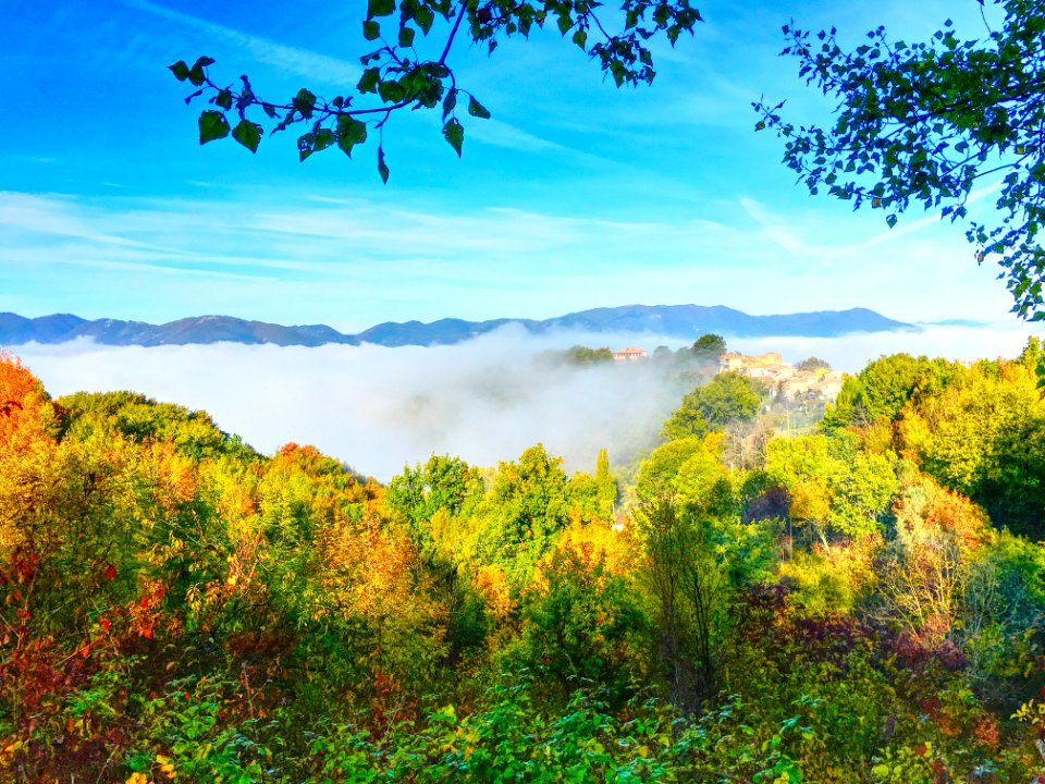 Green Trees And Clouds photo