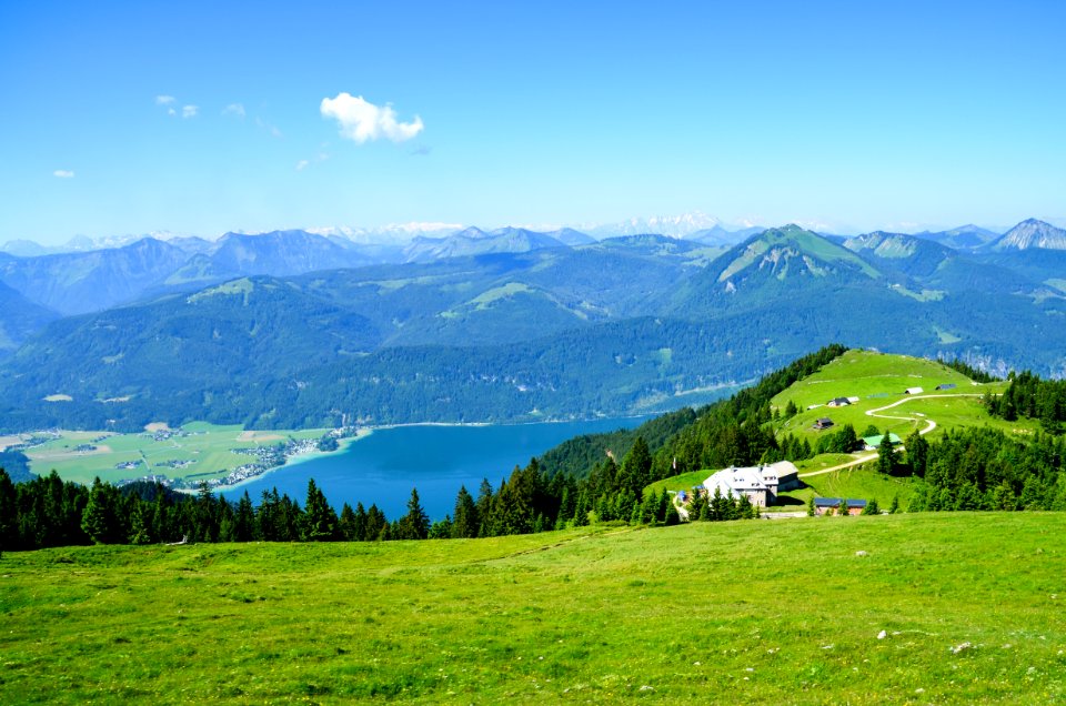 Green Grass Field