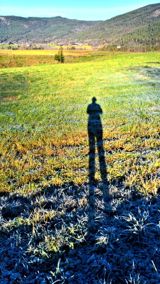 Landscape Photo Of Green Grass Field
