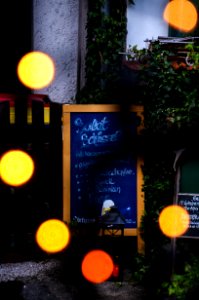 Blue Chalkboard With Brown Wooden Frame Beside Green Plants