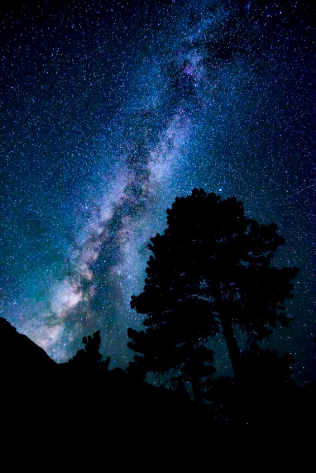 Low-angle Photograph Of Stars
